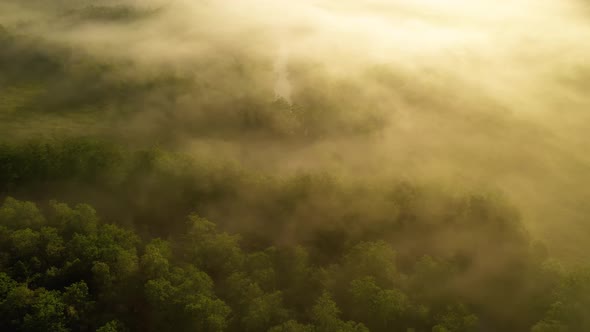 Morning Mist Over the Valley Among the Mountains in the Sunlight