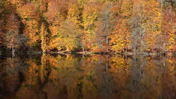 Autumn Colors Over The Lake