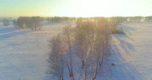 Aerial Drone View of Cold Winter Landscape with Arctic Field, Trees Covered with Frost Snow and