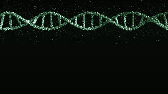 Moving Green DNA Molecule Model