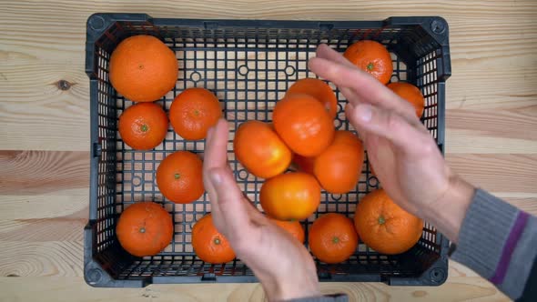 A Man's Hands Lay Ripe Tangerines an Exotic Fruit in a Delivery Box During a Pandemic