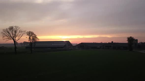 Aerial Footage By a Drone Flying Low Over a Beautiful Sunset Farm Field Warm Light Sun