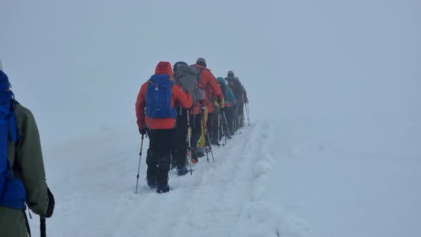 Conquering Top Mountain in Snow Storm Group of Alpinists is Walking on Snowed Slope Rear View
