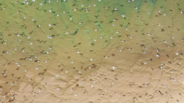 Drone Footage of Picturesque Lagoon with Turquoise Sea Waters