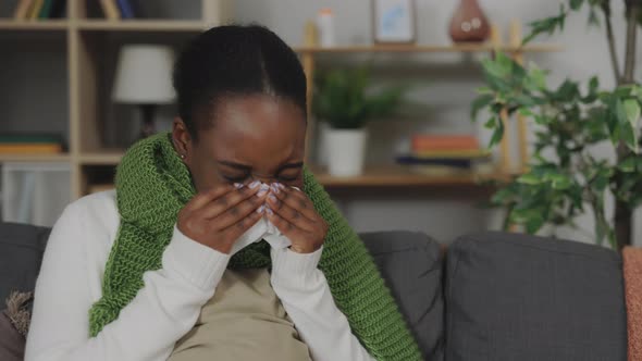 Pregnant Woman Sneezing in Paper Tissue on Sofa