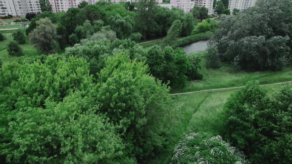 City Park in a Summer Cloudy Day