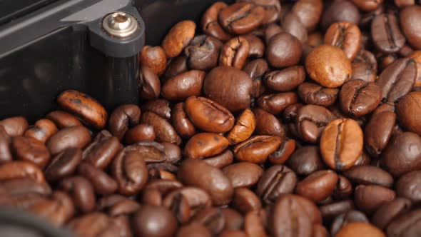 Coffee Beans Shaking in Coffee Machine While Grinding