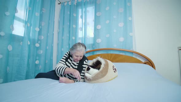 Old Woman Plays with Cat Using Eyeglasses and Sitting on Bed