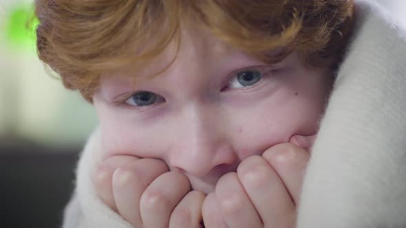 Extreme Close-up Face of Cute Caucasian Little Boy Looking at Camera with Fear in Eyes. Portrait of