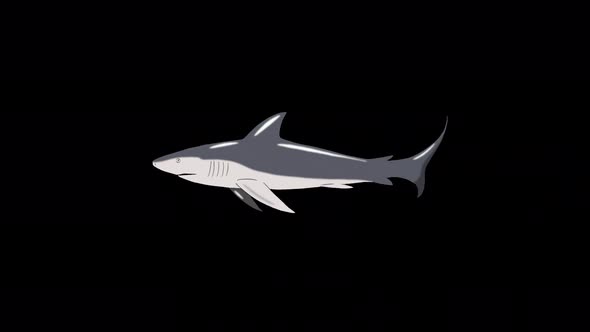 Gray shark swim alpha matte alt
