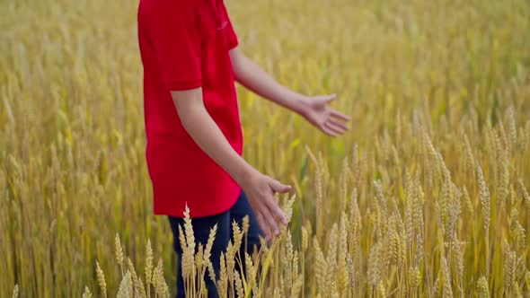 Boy in agricultural land