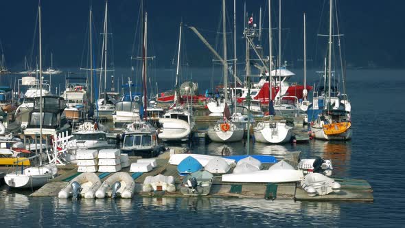 Dock With Lots Of Sailing Boats