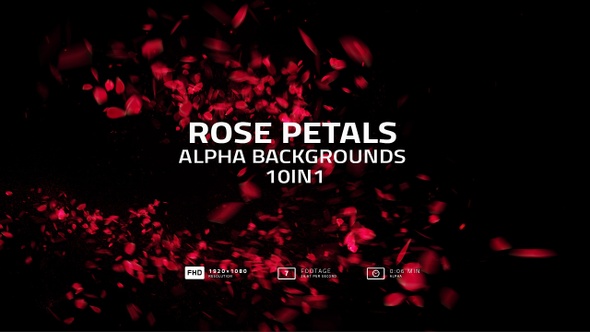 Rose Petals Alpha Backgrounds Pack 7in1 alt