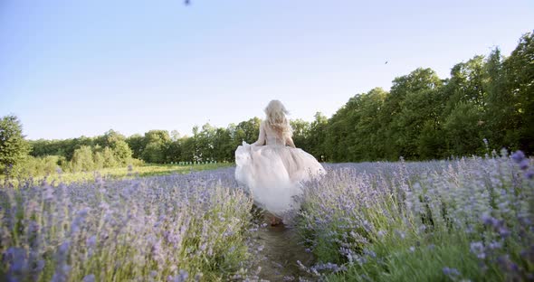 Cinematic View of Woman Run Colorful Lavender Fields on a Sunny Day Blooming Purple Flowers.