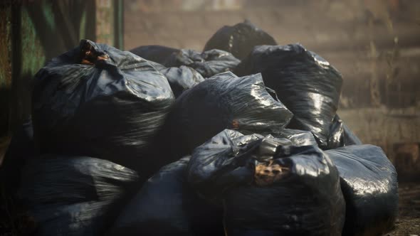 Plastic Trash Bags on Curb Outside City Building