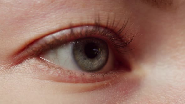 Closeup of a Eye Blinking Opening and Closing