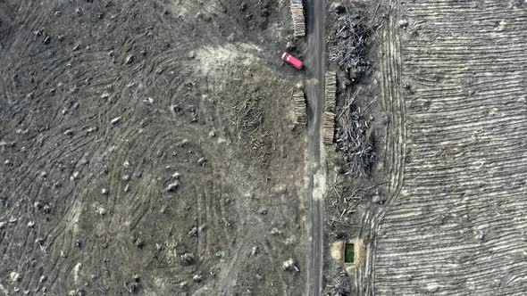 Deforestation, logging, environmental destruction. Aerial view from drone