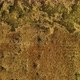 Top View of a Wheat Field After a Hurricane - VideoHive Item for Sale