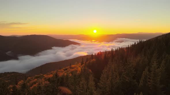 Aerial View of Bright Foggy Morning Over Dark Mountain Forest Trees at Autumn Sunrise