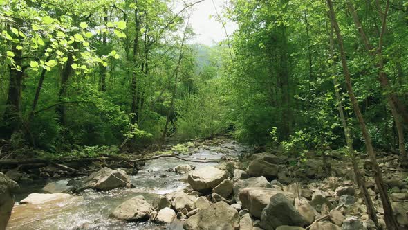 River Background Video Footage - A Shallow River Streaming Through A Bed Of Rocks