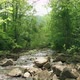 River Background Video Footage - A Shallow River Streaming Through A Bed Of Rocks - VideoHive Item for Sale