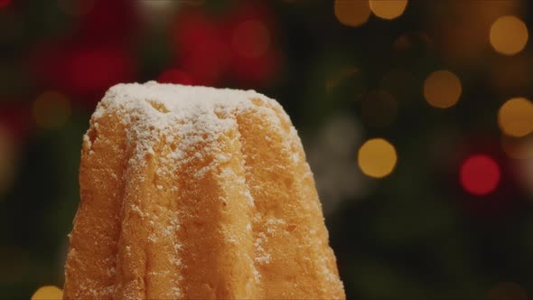 Christmas cake with powdered sugar. Panettone