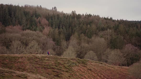 Tourist Hiking Along the Hills in Himmelbjerget Area Denmark