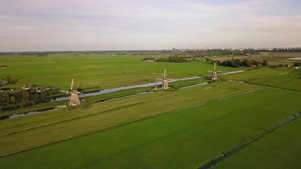 Evergreen Meadows With Traditional Windmills In Rural Farmland At Hague Netherlands