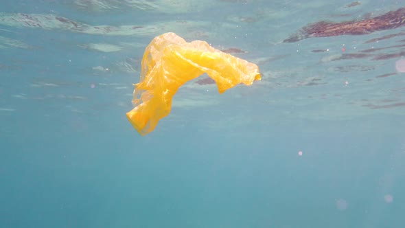 Plastic Bag in the Sea