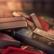 Dumped old books - VideoHive Item for Sale
