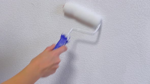 Closeup of Woman Hands Using Paint Roller While Painting Wallpaper White Color Working Indoors