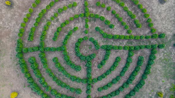 Top View Of Green Labyrinth