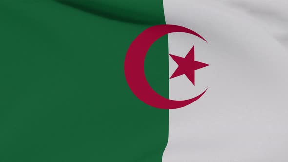 Flag Algeria Patriotism National Freedom Seamless Loop