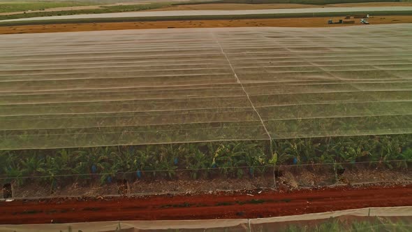 Aerial footage of net houses with banana plantations