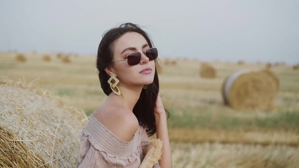 Elegant Lady in Sunglasses Poses with Blowing Hair at Haystack in Field
