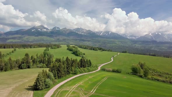 Fly Above of Fresh Green Landscape in Spring Alpine Mountains Nature