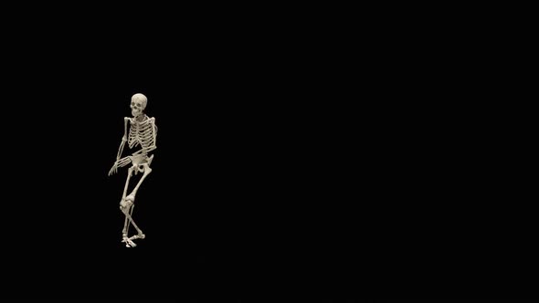 24 Ghost Halloween Dancing HD / Videohive