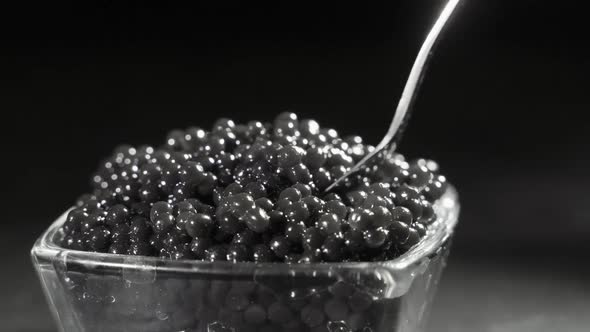 A Man Scoops Up a Delicious Black Caviar From a Transparent Bowl with a Spoon. Delicious Seafood