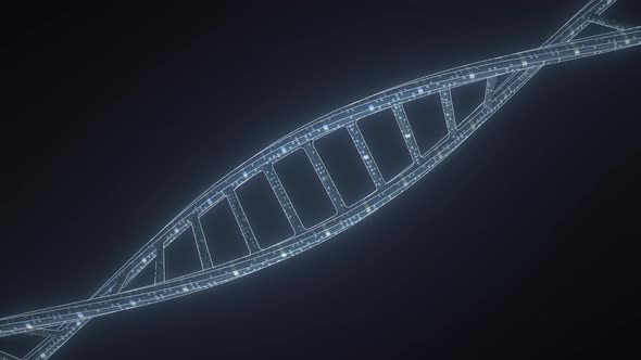 Carbon DNA Molecule Model