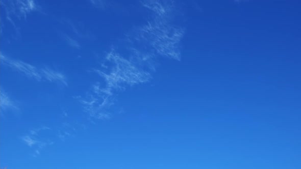 rose petals fly in the wind against the blue sky. slow mo