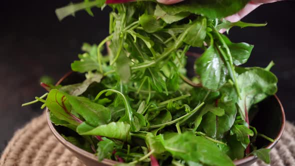 Mix salad greens. Arugula, lettuce, spinach in black bowl Video 4k