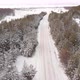 Winter Forest Road - VideoHive Item for Sale