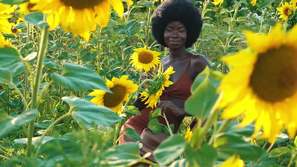 Farmers in a beautiful sunflower field