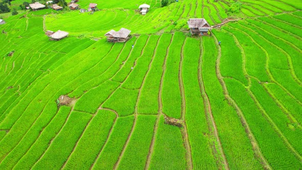 Aerial drone footage of rice terraces and farmer village at Pa pong piang