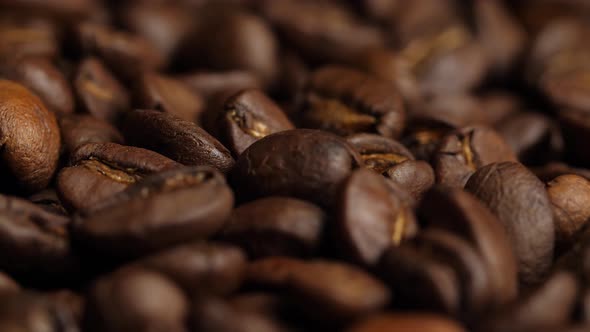 Seeds Of Coffee Rotating