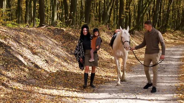 Young family walking with white horse in autumn forest, slow motion
