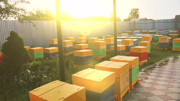 Bee Hives on a Private Site