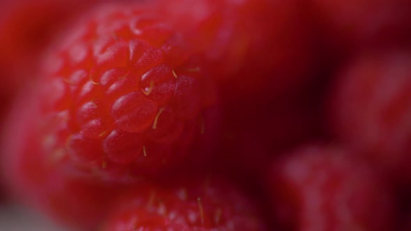 Raspberries Super Close Up Stock Footage. Raspberries in Macro Close Up with a Sliding Camera Move