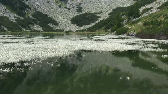 Upper Vasilashko Lake 