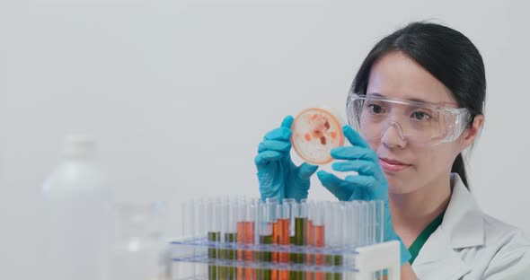 Scientist making observation of the test tube